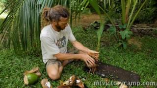 Uses of a  Coconut- Tropical survival skills