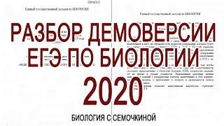 Разбор демоверсии ЕГЭ по биологии 2020