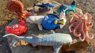 Get to Know Underwater Marvels: Fun Sea Animal Facts and Toys
