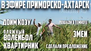 В ЭФИРЕ ПРИМОРСКО-АХТАРСК 19 ВЫПУСК (сделали предложение, доим козу, квартирник) #приморскоахтарск