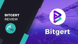 BitGert can be the next Solana! Or even better? Token analysis 