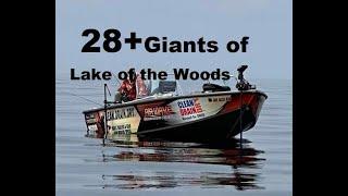28+ Giants of Lake of the Woods/NCOR