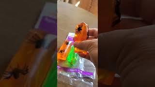 Halloween Water Wigglers!! #amazing #toy #satisfying #shorts #yearofyou #viral