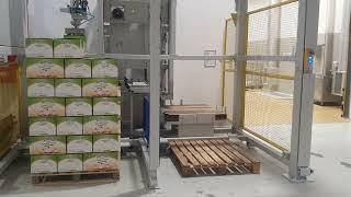 Koli Dolum ve Palet Dizme Hattı & Box Filling and Palletizing Line