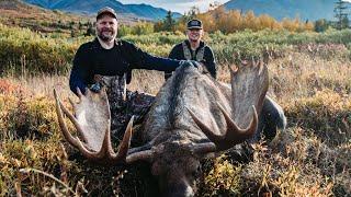 Alaskan Trophy Moose