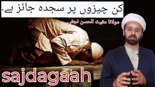 جن چیزوں پر سجدہ کرنا درست ہے۔۔ | kin chezon per sajda karna he | sajda kis per sahi he | lecture 86