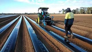 0670/30 900/500 MODEL PLASTIC MULCH LAYER TATURA ENGINEERING 0408 241 998