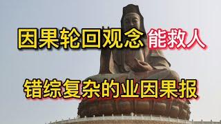 因果轮回观念能救人  错综复杂的业因果报