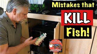 Fish Keeping Mistakes that KILL Our Fish! ***Don't Do These!*** Costly Errors!