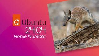 Ubuntu 24.04: Novedades Imprescindibles 