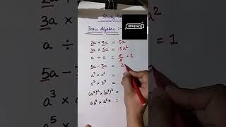 Unlock the secrets of X and Y! Basic algebra explained in a flash. #shorts #maths #gulabisharara