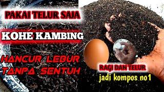 Cukup 1 butir & telur, puluhan karung kohe kambing langsung hancur lembut tanpa mesin tanpa tumbuk