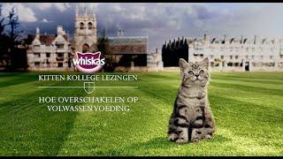 WHISKAS® Kitten Kollege - Hoe overschakelen op volwassen voeding