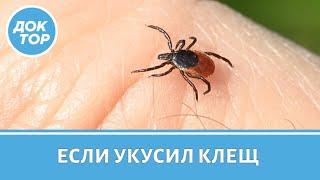 Если укусил клещ