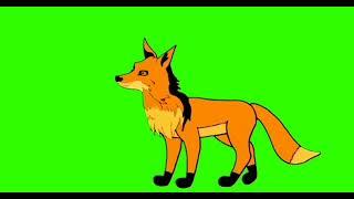 Fox green screen cartoon video