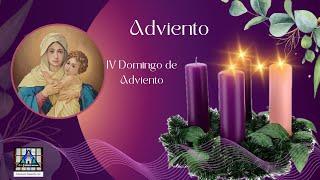 Homily - Fourth Sunday of Advent -  Saturday Vigil Mass