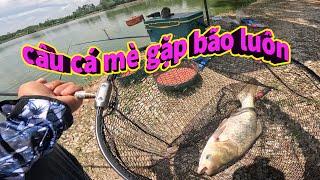 đi câu buổi cá mè quấn ổ - gặp bão luôn rồi