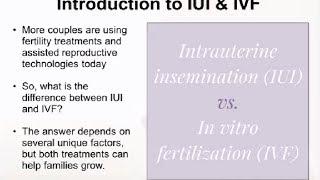 The Difference Between IUI and IVF