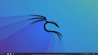 Kali Linux | для чего он?