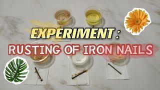 Experiment : Rusting of iron nails