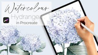 Paint This! Watercolour Hydrangea Flower in Procreate - Easy, Beginners Level IPad Illustration