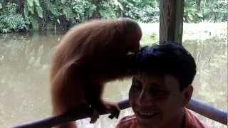 Entertained by mischievous Monkey in Iquitos, Peru by Traci Bogan, Dreampreneur, Keynote Speaker