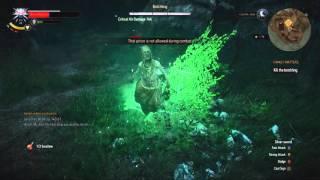 Witcher 3    Botchling Easy Kill (Bloody Baron)