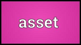 Asset Meaning