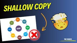 Shallow Copy Object Oriented Programming Zero To Hero Course Lecture 06 | True Engineer