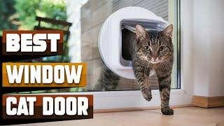 Best Cat Door for Window In 2024 - Top 10 cat Door Windows Review