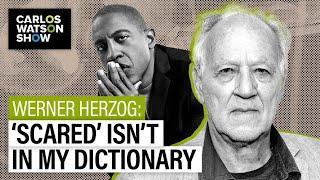 What Will Be Werner Herzog’s Next Documentary?