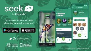 Seek by iNaturalist