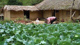 Gardening, Harvesting Vegetables, Cooking Traditional Buffalo Skin Soup, Mountain Life | EP. 31