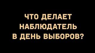 Работа наблюдателя на выборах