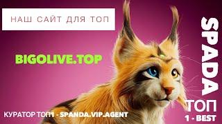 Детский сад в BIGO LIVE. Агенты мошенники и открытие сайта Агентства SPANDA для ТОП Ведущих в биго