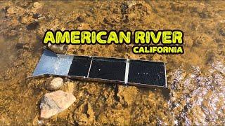 Gold Panning & Sluicing on the American River in Placer County California