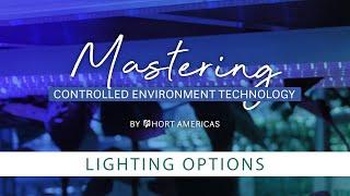 Mastering Lighting Options