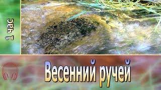 Весенний ручей. 1 час журчания