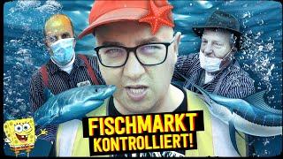 FISCHMARKT KONTROLLIERT! - MÖWENJAGD