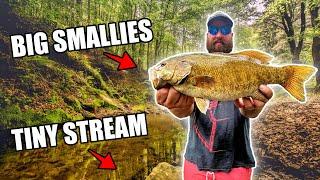 CREEK FISHING for HIDDEN MONSTER SMALLMOUTH BASS!