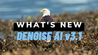 What's new in DeNoise AI v3.1