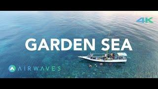 GARDEN SEA - BAWEAN ISLAND, INDONESIA