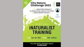 2022 City Nature Challenge iNaturalist Training