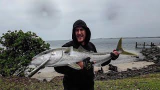 Dinghy Fishing & Fishing My Favourite Wharf In NZ | Walls Of Fish