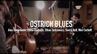 Alex Hargreaves, Eddie Barbash, Ethan Jodziewicz, Sierra Hull, Wes Corbett - Ostrich Blues