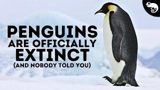 I Have Terrible News About Penguins...