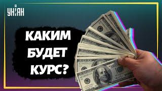 Насколько в Украине поднимется курс доллара?