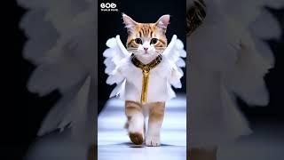 Majestic Cats as Mythical Creatures Walk the Ramp! 