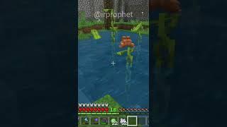 Depression after losing my FROG - Minecraft