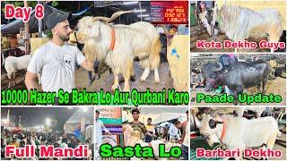 Deonar Bakra Mandi Day 8 Night Update 13 June 2024 | 10000 Hazer Se Bakra Lo Aur Qurbani Karo